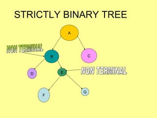 STRICTLY BINARY TREE A B D E C F G NON TERMINAL NON TERMINAL 