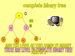 A B C D E F G complete binary tree 0 1 2 THESE ARE LEVEL OF COMPLETE BINARY TREE AND THE LEVEL OF THIS COMPLTE BINARY  TREE IS 2 