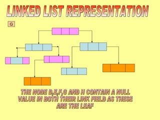 LINKED LIST REPRESENTATION A B C D E H F G THE NODE D,E,F,G AND H CONTAIN A NULL  VALUE IN BOTH THEIR LINK FIELD AS THESE  ARE THE LEAF 