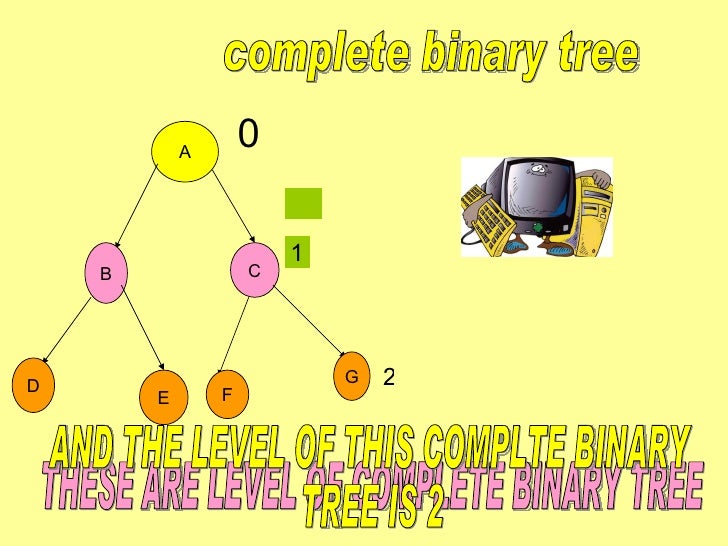 bca data structure