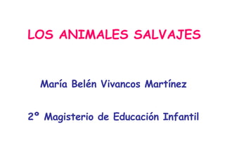 LOS ANIMALES SALVAJES María Belén Vivancos Martínez 2º Magisterio de Educación Infantil 