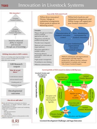 Innovation in Livestock Systems Process of creating and using knowledge in new ways to enhance livelihoods of livestock dependent poor people Defining Innovation in ILRI’s context.. How do we add value?   ,[object Object],[object Object],[object Object],[object Object],[object Object],[object Object],[object Object],Changing  livestock systems Changing  challenges for  livestock-dependent  poor Need for enhanced  ability to respond and innovate  through use of knowledge Characterization of livestock innovation  context Policy &Institutional environment for livestock innovation ,[object Object],[object Object],[object Object],[object Object],[object Object],Pro-poor Institutional & organizational  innovations for livestock systems ,[object Object],[object Object],[object Object],[object Object],[object Object],[object Object],[object Object],[object Object],[object Object],[object Object],[object Object],Resiliency Sustainable  Intensification Managed Smallholder Adaptive Livestock System and Development Challenge Pro-poor and Sustainable  Development Agenda  Diversification and Resilience Market access  and  incomes Sustainable  Productivity Increases Livestock Development Challenges and Supa-Outcomes SPS and Market Access Emerging Diseases Climate change  Adaptation Animal  Genetic Resources Animal  Genetic Resources Vaccines and Diagnostics Vaccines and Diagnostics Breeding  strategies Health Feeding  strategies Value  chains Risk  management Current portfolio of TG03 research in relation to ILRI Big issues  ILRI Research  outputs Developmental  outcomes How do we get there? 1.Links between research and non-research actors 2.Enabling policy & institutional changes Focus of the TG03 research work Why innovation ? TG03 Monitoring, Learning and   Impact evaluation 