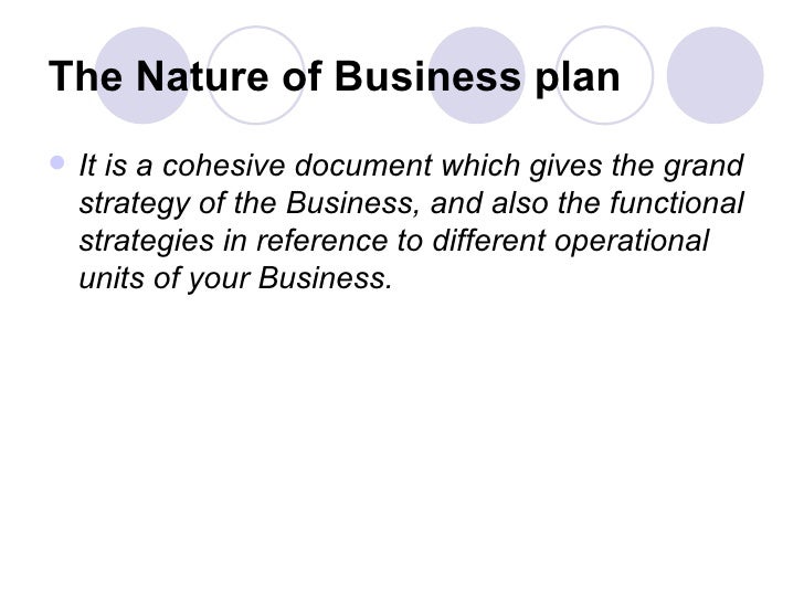 Develop business plan strategy