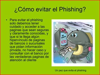 ¿Cómo evitar el Phishing? Para evitar el phishing solo debemos tener cuidado y acceder a las paginas que sean seguras y claramente conocidas, y que si te llega algún hipervínculo de paginas de bancos o sucursales que pidan información privada, no hacer caso y consultar con el banco por las verdaderas paginas de atención al cliente Un pez que evita el phishing 