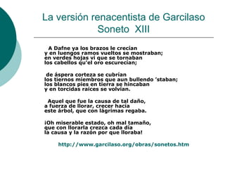 La versión renacentista de Garcilaso Soneto  XIII A Dafne ya los brazos le crecían y en luengos ramos vueltos se mostraban; en verdes hojas vi que se tornaban los cabellos qu’el oro escurecían;       de áspera corteza se cubrían los tiernos miembros que aun bullendo ’staban; los blancos pies en tierra se hincaban y en torcidas raíces se volvían.      Aquel que fue la causa de tal daño, a fuerza de llorar, crecer hacía este árbol, que con lágrimas regaba.       ¡Oh miserable estado, oh mal tamaño, que con llorarla crezca cada día la causa y la razón por que lloraba! http :// www.garcilaso.org /obras/ sonetos.htm 
