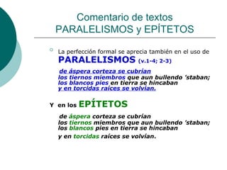 Comentario de textos PARALELISMOS y EPÍTETOS La perfección formal se aprecia también en el uso de   PARALELISMOS   (v.1-4; 2-3)   de áspera corteza se cubrían los tiernos miembros  que aun bullendo ’staban; los blancos pies  en tierra se hincaban y en torcidas raíces se volvían. Y  en los   EPÍTETOS     de  áspera  corteza se cubrían los  tiernos  miembros que aun bullendo ’staban; los  blancos  pies en tierra se hincaban y en  torcidas  raíces se volvían .       
