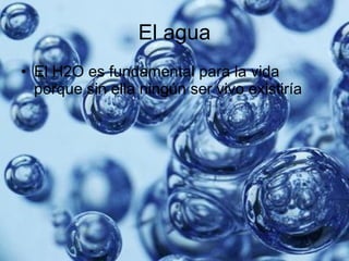 El agua El H2O es fundamental para la vida porque sin ella ningún ser vivo existiría 
