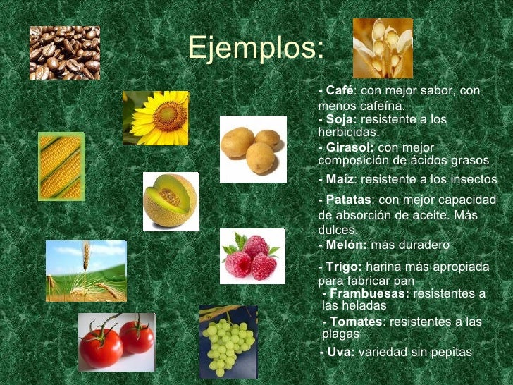 VEGETALES TRANSGÉNICOS