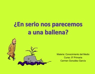 ¿En serio nos parecemos a una ballena? Materia: Conocimiento del Medio Curso: 5º Primaria Carmen González García  