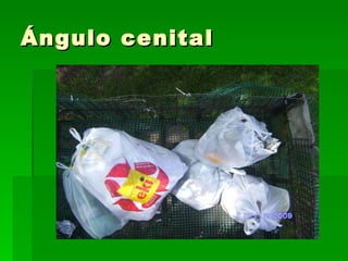 Ángulo cenital