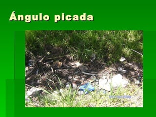 Ángulo picada