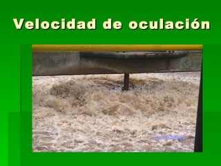 Velocidad de oculación
