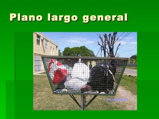 Plano largo general