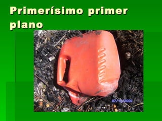 Primerísimo primer plano