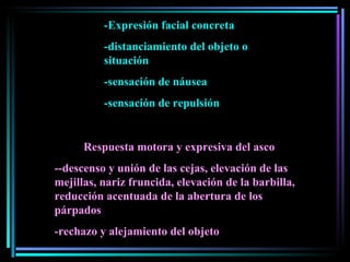 Respuesta motora y expresiva del asco --descenso y unión de las cejas, elevación de las mejillas, nariz fruncida, elevación de la barbilla, reducción acentuada de la abertura de los párpados -rechazo y alejamiento del objeto -Expresión facial concreta -distanciamiento del objeto o situación -sensación de náusea -sensación de repulsión 