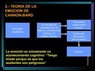 SUCESO (asaltante) El mensaje es procesado por el tálamo y enviado a la corteza y al cuerpo a la vez Respuesta Instrumental (correr) Evaluación del suceso por la corteza Suceso 2.- TEORIA DE LA EMOCION DE CANNON-BARD La emoción es únicamente un acontecimiento cognitivo: “Tengo miedo porque sé que los asaltantes son peligrosos” Ψυχήλόγςο 