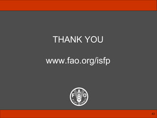 THANK YOU www.fao.org/isfp 43 