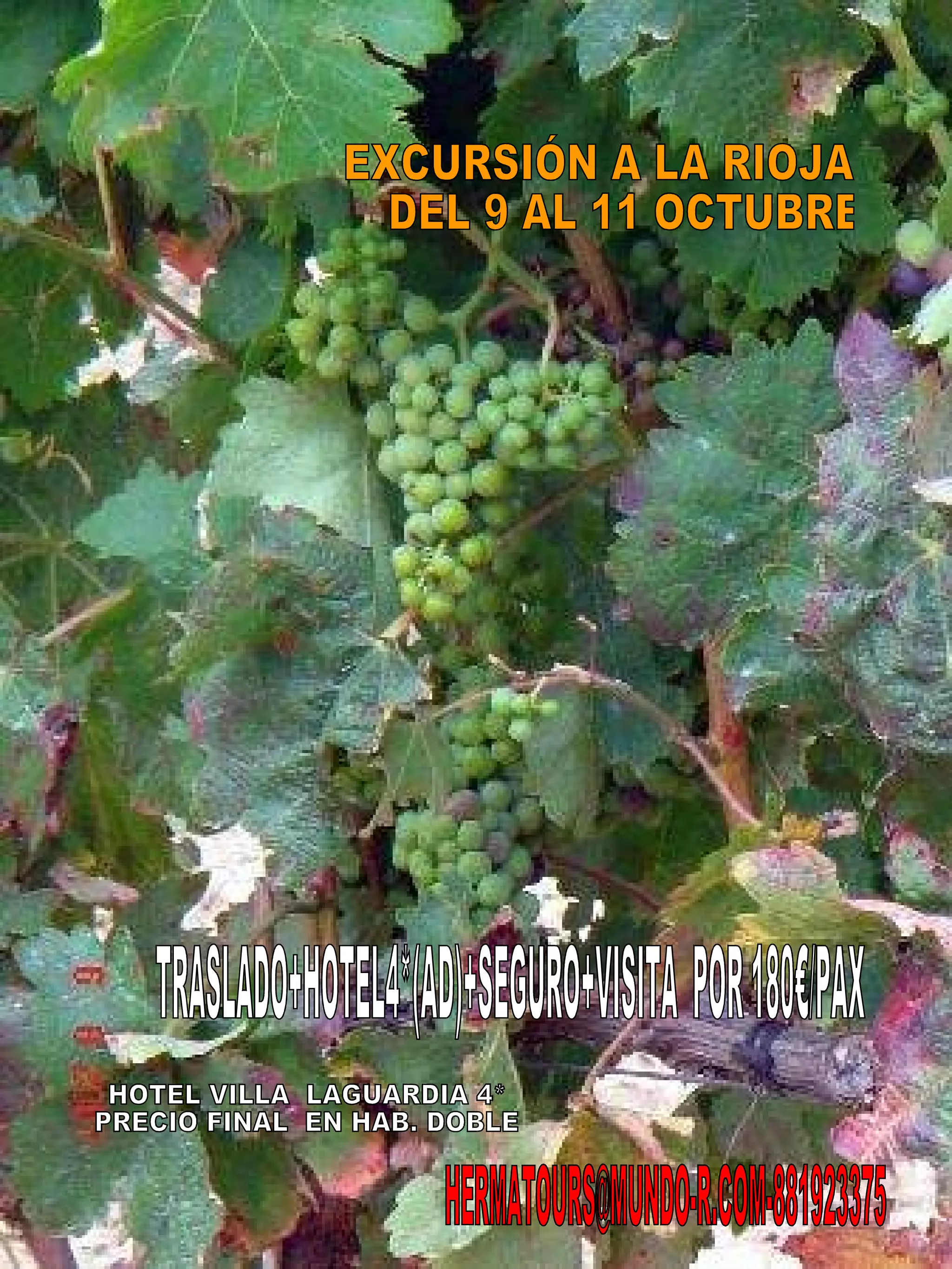 EXCURSIÓN A LA RIOJA DEL 9 AL 11 OCTUBRE TRASLADO+HOTEL4*(AD)+SEGURO+VISITA  POR 180€/PAX HOTEL VILLA  LAGUARDIA 4* PRECIO FINAL  EN HAB. DOBLE [email_address] 
