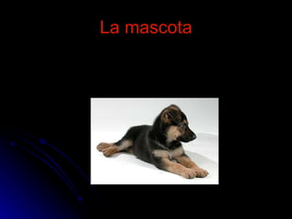 La mascota 