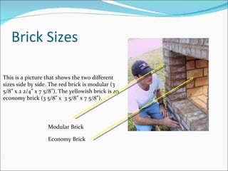 Brick Sizes  This is a picture that shows the two different sizes side by side. The red brick is modular (3 5/8” x 2 2/4” x 7 5/8”). The yellowish brick is an economy brick (3 5/8” x  3 5/8” x 7 5/8”). Modular Brick Economy Brick 