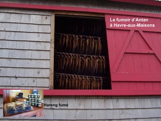Le fumoir d’Antan à Havre-aux-Maisons Hareng fumé 