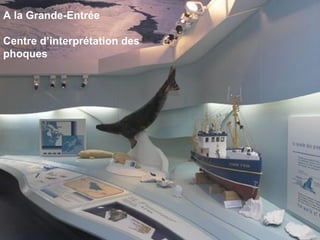 A la Grande-Entrée Centre d’interprétation des phoques 