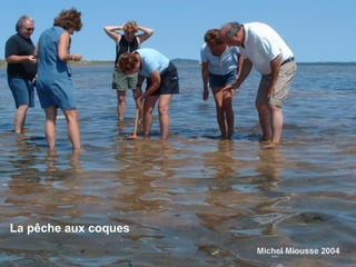 La pêche aux coques 