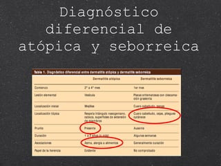 Diagnóstico diferencial de atópica y seborreica  