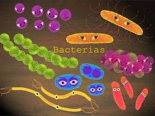 Bacterias 