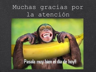 Muchas gracias por la atención 