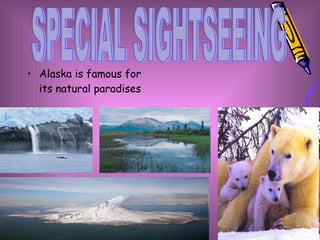 Alaska is famous for its natural paradises SPECIAL SIGHTSEEING 
