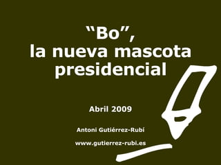 “ Bo”,  la nueva mascota presidencial Abril 2009 Antoni Gutiérrez-Rubí www.gutierrez-rubi.es 