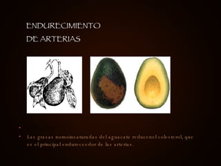 AGUACATE Las grasas nomoinsaturadas del aguacate reducenel colesterol, que es el principal endureceedor de las arterias. ENDURECIMIENTO DE ARTERIAS 
