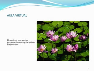 AULA VIRTUALHerramienta para resolver proplemas de tiempo y distancia en el aprendizaje2