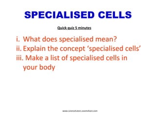 SPECIALISED CELLS What does specialised mean? Explain the concept ‘specialised cells’ Make a list of specialised cells in your body Quick quiz 5 minutes www.sciencetutors.zoomshare.com 