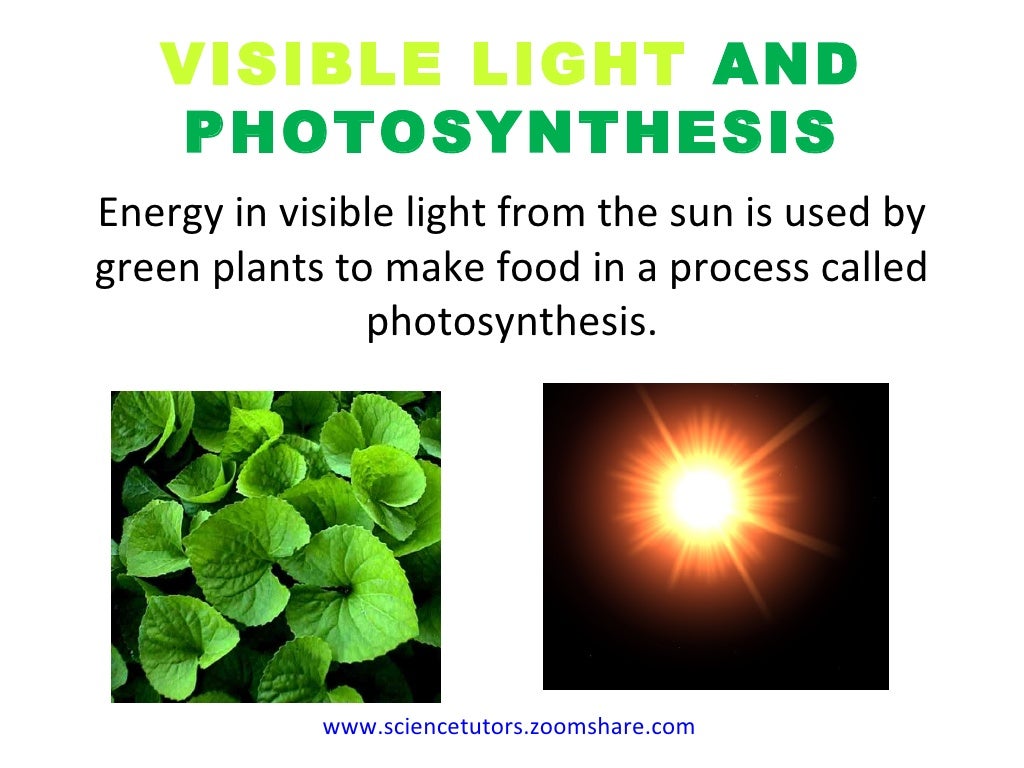 RADIATION & PHOTOSYNTHESIS