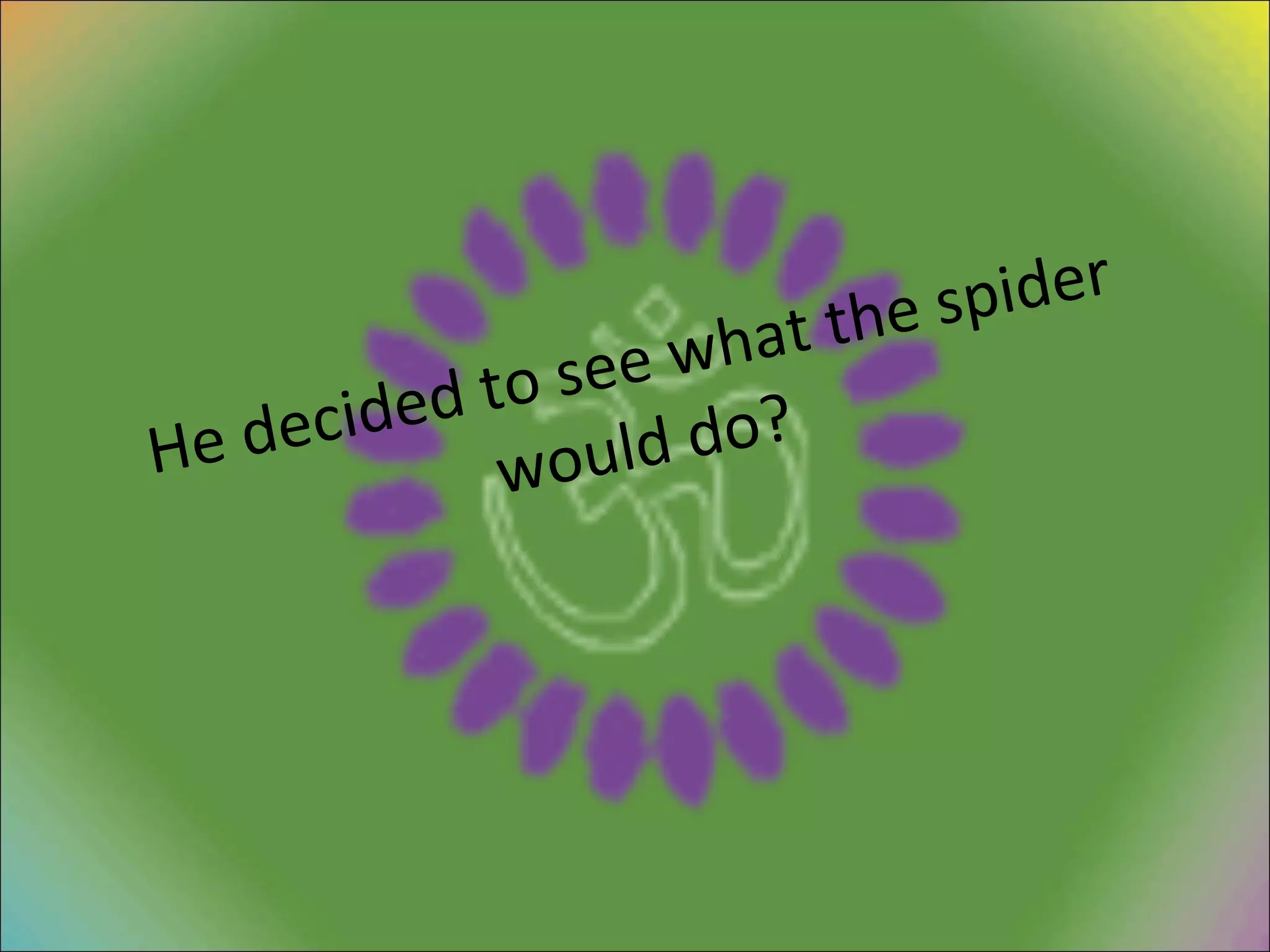 He decided to see what the spider would do? 