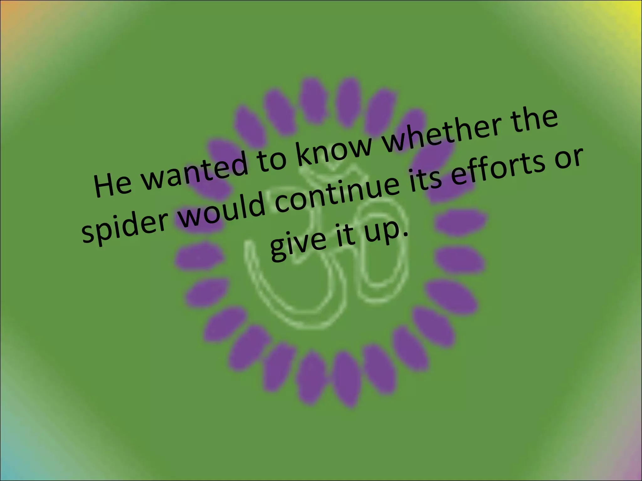He wanted to know whether the spider would continue its efforts or give it up. 