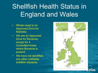 Shellfish Map Britain Aquatic Animal Health Directive and the Fish Health Inspectorate | PDF