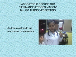 LABORATORIO SECUNDARIA “HERMANOS FRORES MAGÓN” No. 237 TURNO VESPERTINO Andrea mostrando las manzanas cristalizadas