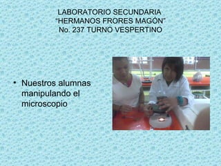 LABORATORIO SECUNDARIA “HERMANOS FRORES MAGÓN” No. 237 TURNO VESPERTINO Nuestros alumnas manipulando el microscopio