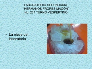 LABORATORIO SECUNDARIA “HERMANOS FRORES MAGÓN” No. 237 TURNO VESPERTINO La nieve del laboratorio