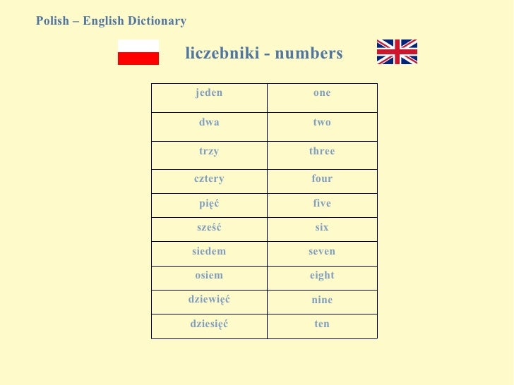 Polish English Dictionary