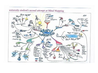 Examples of Graphic Organisers | PPT