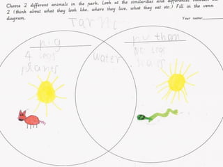 Examples of Graphic Organisers | PPT