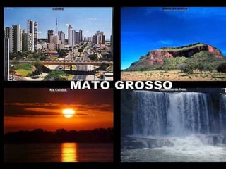 H - O mercado de telefones celulares do Brasil é o segundo do mundo,  com 650 mil novas habilitações a cada mês. G-  Das crianças e adolescentes entre 7 a 14 anos, 97,3% estão estudando. MATO GROSSO 