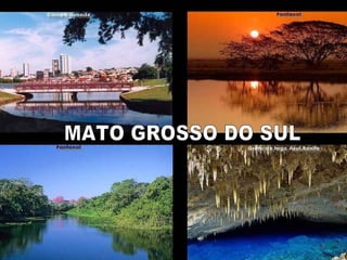 I -  Na telefonia fixa, o país ocupa a quinta posição em número de linhas instaladas. J -  Das empresas brasileiras, 6.890 possuem Certificado de Qualidade  Iso  9000.  Maior número entre os países em desenvolvimento.  No México, são apenas 300 empresas e 265, na Argentina. MATO GROSSO DO SUL 