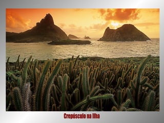 Crepúsculo na Ilha 