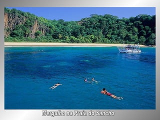 Mergulho na Praia do Sancho 
