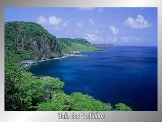 Baía dos Golfinhos 